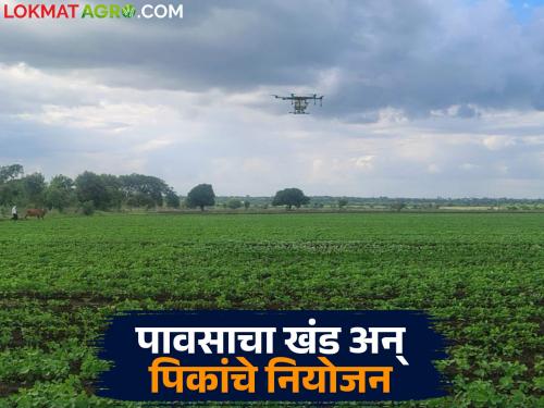 Take these measures to save Kharif crops during dry spells; Know the details | पावसाच्या खंड काळात खरीप पिके वाचविण्यासाठी करा 'हे' उपाय; जाणून घ्या सविस्तर