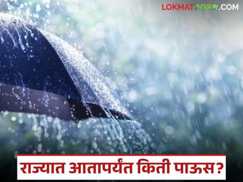 Latest News Maharashtra Rain 97 percent of the average rainfall in maharashtra till September 8 | नाशिक, पुणे, कोकणात पावसाची तूट, मराठवाडा, विदर्भात भरपूर, राज्यात किती पाऊस? 