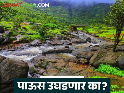 Rains will take a break in these districts for the next two weeks, read the weather forecast | Maharashtra Rain : पुढील दोन आठवडे 'या' जिल्ह्यांत पाऊस विश्रांती घेणार, वाचा हवामान अंदाज 
