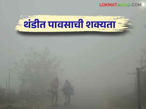 Due to strong low pressure area in Bay of Bengal, rains are likely in these places in the state during the last week | बंगालच्या उपसागरात हवेच्या तीव्र कमी दाब क्षेत्रामुळे शेवटच्या आठवड्यात राज्यात या ठिकाणी पावसाची शक्यता