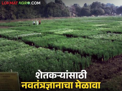 latest news Krishi University: Do you want to make progress in agriculture? Then attend this Shivarpheri! | Krishi University : शेतीत प्रगती साधायची आहे का? मग या शिवारफेरीला हजेरी लावा!
