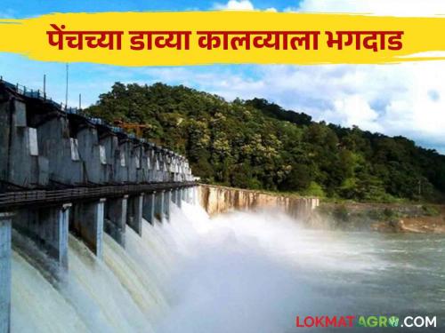 Pench Dam : water from the left canal of pench dam; Damage to agriculture including crops | Pench Dam : पेंचच्या डाव्या कालव्यातील पाणी शिवारात; पिकांसह शेतीचे नुकसान