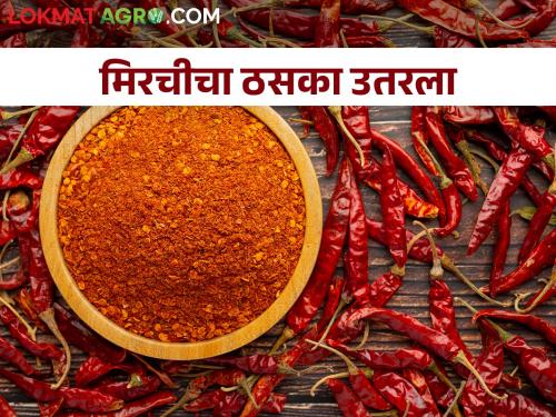 making yearly stock of chilli powder; How is the market price of red pepper? | घरोघरी वर्षभर पुरणारे तिखट करण्याची लगबग; कसा आहे लाल मिरचीचा बाजारभाव