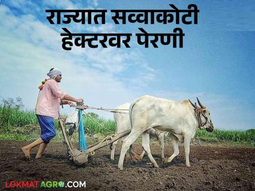 Kharif Perani: This district has done the most kharif sowing in the state | Kharif Perani: राज्यात सगळ्यात जास्त खरीप पेरणी करत ह्या जिल्ह्याने मारली बाजी