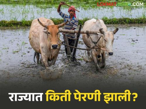 Latest news 62 percent sowing in maharashtra on 1st july highest sowing of maize | आजपर्यंत राज्यात ६२ टक्के पेरणी, मक्याची सर्वाधिक पेरणी, 'हा' जिल्हा आघाडीवर