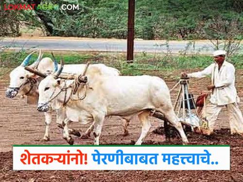Latest News Monsoon Update remember 'this' date of rain, then decide on kharif season sowing | Monsoon Update : शेतकऱ्यांनो पावसाची 'ही' तारीख लक्षात ठेवा, त्यानंतर पेरणीचा निर्णय घ्या!