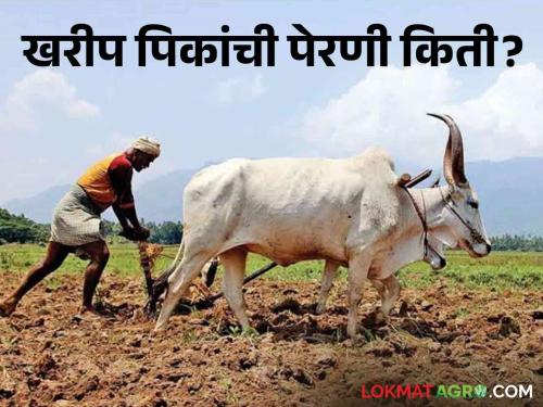 Latest news Kharif crops sowing area is 378 lakh hectares, read how much of which crop is sown | Kharif Sowing : खरीप पिकांची पेरणी क्षेत्र 378 लाख हेक्टरवर, वाचा कुठल्या पिकाची पेरणी किती? 