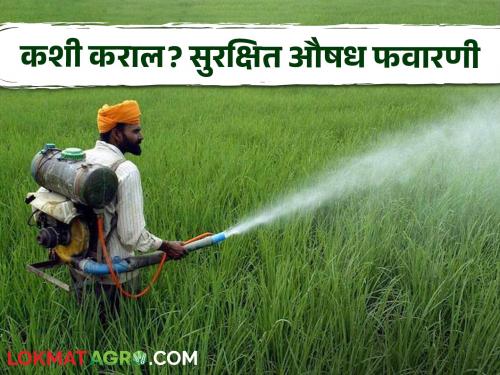 Farmers, spraying such chemicals on crops can be life-threatening; how can you take precautions? | शेतकऱ्यांनो पिकांवरील अशी औषध फवारणी ठरू शकते जीवघेणी; कशी घ्याल काळजी?