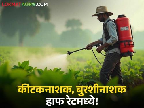 latest news Pesticide Subsidy: Government's big help for crop protection; Apply today, read in detail | Pesticide Subsidy : पीकसंरक्षणासाठी सरकारची मोठी मदत; आजच करा अर्ज वाचा सविस्तर