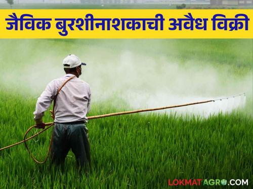 Pesticide: Be careful while buying fungicide | Pesticide : बुरशीनाशक खरेदी करताना घ्या खबरदारी