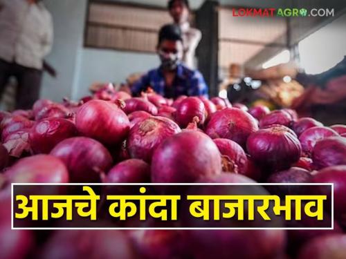Latest news Kanda Market See todays 27 july onion market prices in maharashtra | Kanda Market : रविवारी उन्हाळ कांद्यासह लोकल कांद्याला प्रति क्विंटल काय भाव मिळाला?