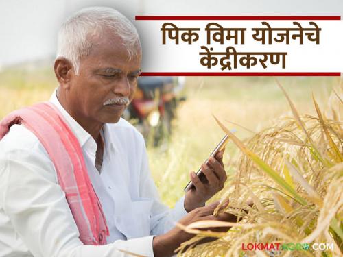 Latest News Centralization of crop insurance scheme; Confusion inevitable in harvesting experiment, read in detail | Pik Vima Yojana : पीकविमा योजनेचे केंद्रीकरण; कापणी प्रयोगात गोंधळ अटळ, वाचा सविस्तर 