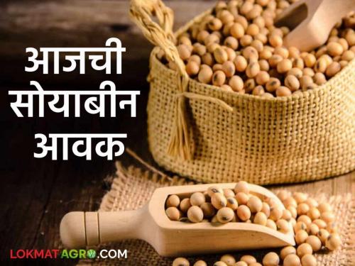 Latest News Soyabean Market Highest arrival of soybeans in Nagpur market, see todays soyabean bajarbhav | Soyabean Market : नागपूर बाजारात सोयाबीनची सर्वाधिक आवक, तर गंगाखेड बाजारात 'इतके' रुपये भाव मिळाला? 