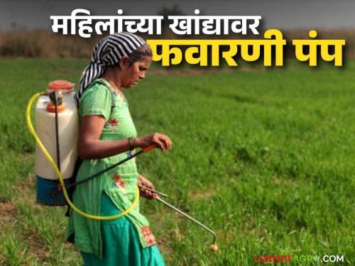 Latest news Agriculture News strength of women in agriculture is inspiring, read in detail | Agriculture News : संसार सांभाळला, शेतीतही महिला वर्गाची ताकद प्रेरणादायी, वाचा सविस्तर 