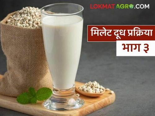 Latest news millet Milk recipe Why is boiling important when making millet milk Learn in detail | Millet Milk : मिलेट मिल्क तयार करताना उकळवणे का महत्वाचे असते, जाणून घ्या सविस्तर 
