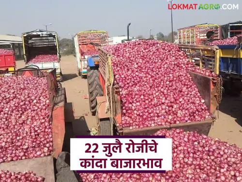 Latest News Kanda Market Lasalgaon onion market prices up down see July 22 market prices | Kanda Market : लासलगाव कांदा मार्केटमध्ये चढ-उतार, वाचा 22 जुलै रोजीचे बाजारभाव