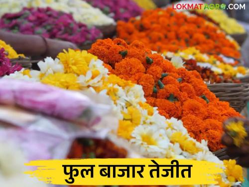 Phul Market Pune : Flower market booms due to Guru Purnima; What is the price of which flower? | Phul Market Pune : गुरुपौर्णिमेमुळे फुलांच्या बाजारात तेजी; कोणत्या फुलाला कसा भाव?