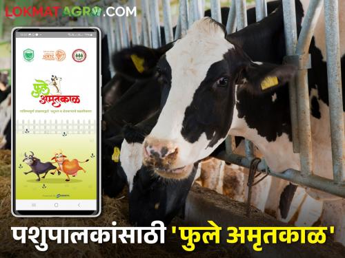 A new mobile app for how to plan weather-based livestock management | हवामान आधारित जनावरांच्या गोठ्याचे नियोजन कसे करावे यासाठी आलंय नवीन मोबाईल अॅप