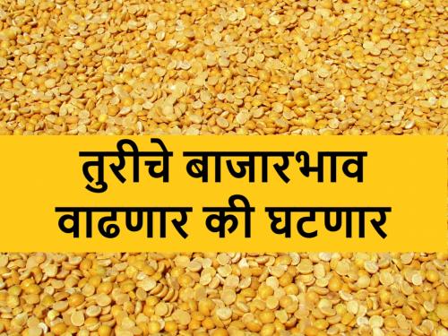 govt extends tur and urad import duty exceptionl till march 25 | तूर आणि उडीद डाळींच्या आयातीसंदर्भात केंद्राचा मोठा निर्णय, बाजारभावावर काय होणार परिणाम?