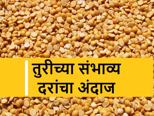 What will be the likely prices of pipes between January and March? find out | जानेवारी ते मार्च दरम्यान तुरीच्या संभाव्य किंमती काय असतील? जाणून घ्या