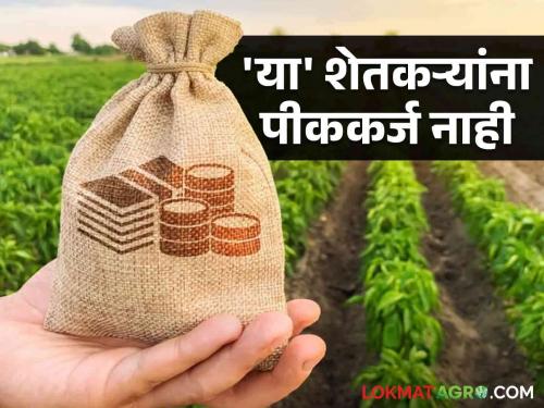 Latest News Difficulty in getting crop loan for border farmers in Jalgaon district | Agriculture News : शेतकरी जिल्ह्यात, शेती दुसऱ्या जिल्ह्यात, जळगाव जिल्ह्यातील 'हे' शेतकरी अडचणीत