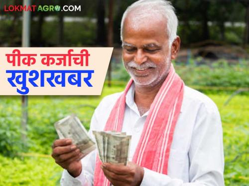 Good news for farmers, major changes made in crop loan limit; Will 'these' crops now get increased loans? | शेतकऱ्यांसाठी गुडन्यूज, पीक कर्ज मर्यादेमध्ये मोठे बदल; आता मिळणार वाढीव कर्ज?