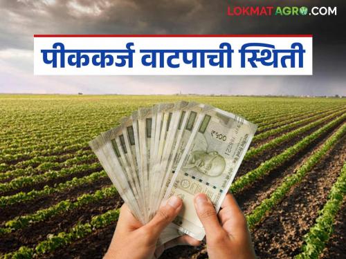 latest news Crop Loan: Sowing is over; but the crop loan distribution train is delayed. Read in detail | Crop Loan : पेरणी आटोपली; पण पीककर्ज वाटपाची गाडी रेंगाळली वाचा सविस्तर
