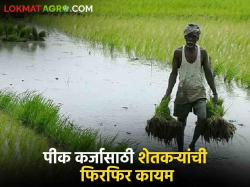 Latest News agriculture News 119 percent loan disbursement from Nandurbar District Bank, behind nationalized banks | Agriculture News : यंदाही कर्ज वाटपात राष्ट्रीयीकृत बँका मागेच, जिल्हा बँकेने किती वाटले कर्ज?