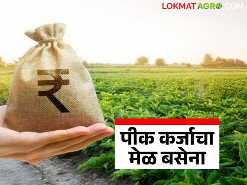 latest news Pik Karj: New blow to farmers; Previous loans are overdue, difficulty in getting new loans Read in detail | Pik Karj : शेतकऱ्यांना नवा झटका; मागील कर्ज थकीत, नवीन कर्ज मिळण्यात अडचण वाचा सविस्तर