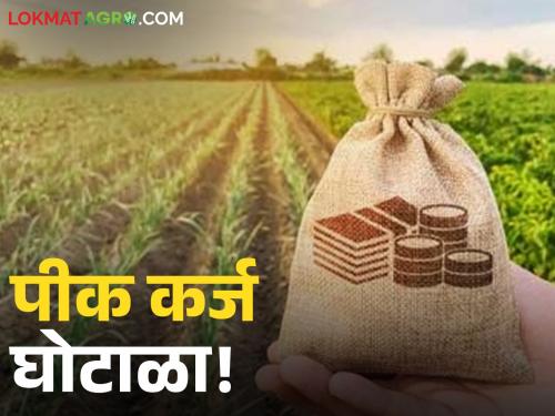 latest news Crop Loan: Crop loan taken in the name of a farmer; What is the case? Read in detail | Crop Loan : शेतकऱ्याच्या नावावर परस्पर पीककर्ज उचलल्याचा प्रकार; काय आहे प्रकरण वाचा सविस्तर