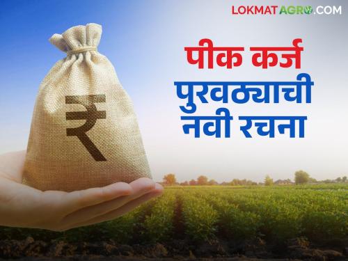 Farmers will now get crop loans at low interest rates; NABARD to introduce two-tier structure | शेतकऱ्यांना आता कमी व्याजात पीककर्ज मिळणार; नाबार्ड द्विस्तरीय रचना आणणार