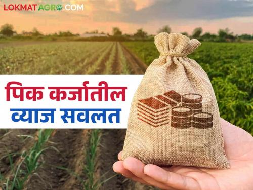 Farmers of this district are stuck with Rs 46 crore in the crop loan interest subsidy scheme | पिक कर्जाच्या व्याज सवलत योजनेत या जिल्ह्यातील शेतकऱ्यांचे ४६ कोटी रुपये अडकले