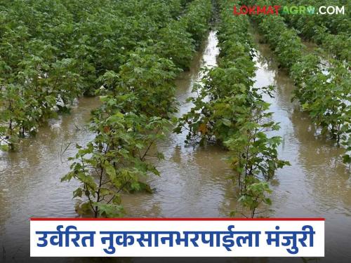 Crop damage compensation money for the last two years has arrived; it will be deposited in farmers' accounts soon | मागील दोन वर्षातील पिक नुकसान भरपाईचे पैसे आले; लवकरच शेतकऱ्यांच्या खात्यावर जमा होणार