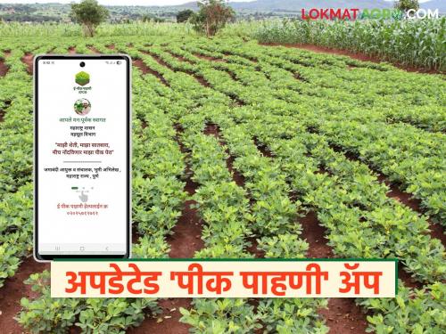 e Pik Pahani : Now the crop inspection will be done instantly; Use the updated version of 'this' mobile app | e Pik Pahani : आता पिक पाहणी होणार झटपट; वापरा अपडेटेड व्हर्जनचे 'हे' मोबाईल अ‍ॅप