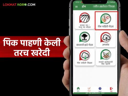 NAFED makes 'this' important appeal to purchase pulses and oilseeds at support price | कडधान्य व तेलबियांची आधारभूत किंमतीनुसार खरेदी करण्यासाठी नाफेडने केले 'हे' महत्वाचे आवाहन