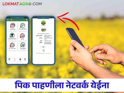 E Pik Pahani: Farmers in trouble due to network obstruction in e-Pik Pahani registration | E Pik Pahani : ई-पीक पाहणी नोंदीला नेटवर्कचा अडथळा शेतकरी अडचणीत