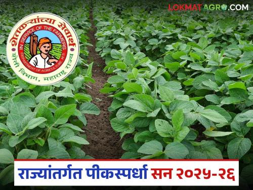 Pik Spardha 2025-26 : Participate in the Agriculture Department's Pik competition and win attractive prizes. | Pik Spardha 2025-26 : कृषी विभागाच्या पिक स्पर्धेत सहभागी व्हा अन् जिंका आकर्षक बक्षिसे