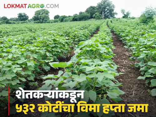 Pik Vima 2025 : 91 lakh farmers in the state have taken out Kharif crop insurance; Maximum applications are from 'this' district | Pik Vima 2025 : राज्यात ९१ लाख शेतकऱ्यांनी काढला खरीप पीकविमा; सर्वाधिक अर्ज 'या' जिल्ह्यातून