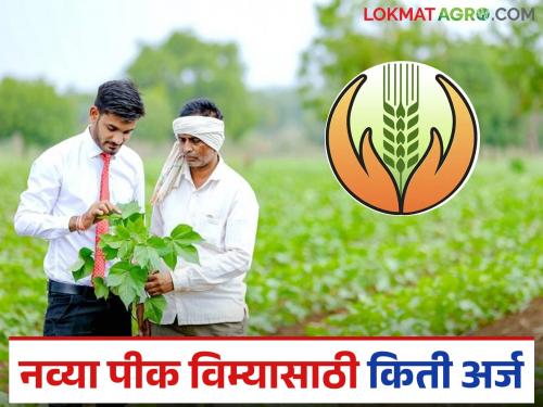 Latest News pik vima yojana One lakh 62 thousand applications from Nashik district for revised crop insurance scheme | नाशिक जिल्ह्यातुन नव्या पीक विम्यासाठी इतके अर्ज आले, तर मागील किती पैसे मिळाले? 