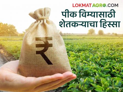From this year's Kharif, the burden of crop insurance will now fall on farmers; how much will the premium be? | यंदाच्या खरिपपासून पीक विम्याचा भार आता शेतकऱ्यांवर पडणार; किती हप्ता येणार?