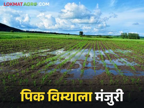 Approval for crop insurance worth Rs 174 crore; Big relief for farmers in 'this' district | १७४ कोटी रुपयांच्या पिक विम्याला मंजुरी; 'या' जिल्ह्यातील शेतकऱ्यांना मोठा दिलासा