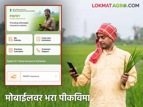 Latest News Rabbi Pik Vima Now apply for Rabi Crop Insurance from your mobile phone at home, know in detail  | Rabbi Pik Vima : आता रब्बी पीकविमासाठी घरबसल्या मोबाईलवरून अर्ज करा, जाणून घ्या सविस्तर 