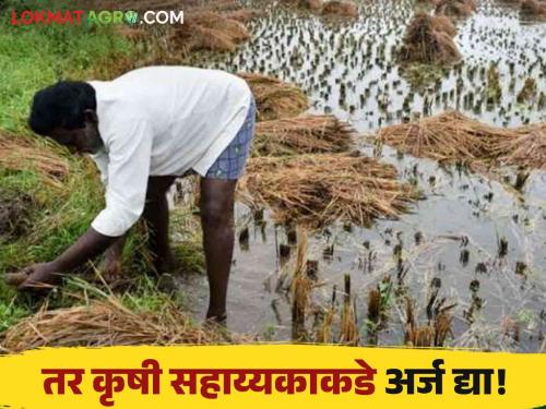  Latest News Apply to Toll Free Number Busy, Agriculture Assistant for Crop Insurance Complaints | Agriculture News : पीक विमा तक्रारीसाठी टोल फ्री क्रमांक बिझी, कृषी सहाय्यकाकडे अर्ज करा!