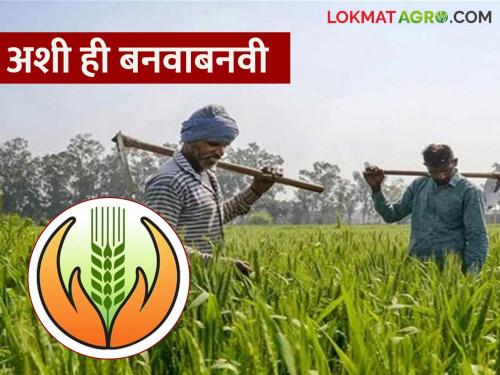 Pik Vima Yojana: latest news What are you saying! A meager amount of crop insurance in farmers' accounts; Read the case in detail | Pik Vima Yojana: काय सांगताय! शेतकऱ्यांच्या खात्यात पीक विम्याची तुटपुंजी रक्कम; काय आहे प्रकरण वाचा सविस्तर