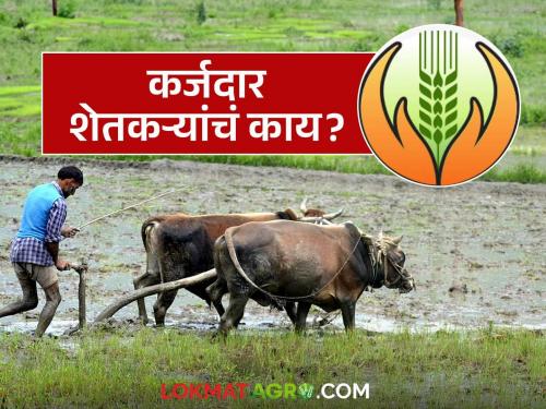 Latest news Pik Vima Yojana Will loan-ridden farmers be able to participate in new crop insurance scheme | Pik Vima Yojana : नवीन पीक विमा योजनेत कर्जदार शेतकऱ्यांना सहभागी होता येईल की नाही? 
