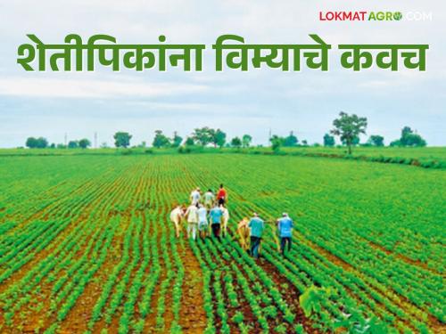 Crop Insurance : Crop protected on 4 lakh 40 thousand hectares area in the district   | Crop Insurance : जिल्ह्यातील ४ लाख ४० हजार हेक्टरवर क्षेत्र पीक संरक्षित  