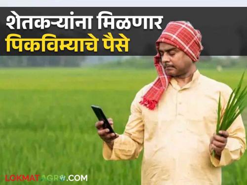 Latest News Pik Vima Yojna Farmers of Nashik district will get Rs 853 crore of crop insurance says dhananjay Munde | Crop Insurance: नाशिक जिल्ह्यातील शेतकऱ्यांना मिळणार पिकविम्याचे 853 कोटी रुपये; कृषी मंत्र्याची घोषणा