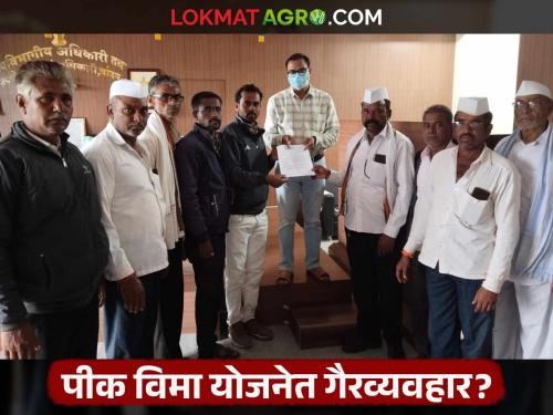 latest news Pik vima yojana Corruption in Crop Insurance Scheme, Farmers Claim | पीक विमा प्रतिनिधींनी ५० टक्के रक्कम खिशात घातली, अन्... शेतकरी असं का म्हणाले? 