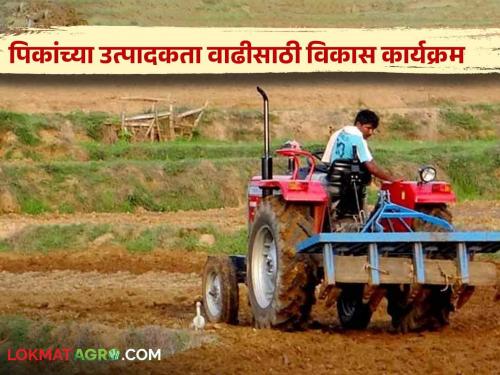 Agriculture Scheme: Agriculture department will now take the initiative for product development  | Agriculture Scheme : उत्पादन विकासासाठी आता कृषी विभाग घेणार पुढाकार 