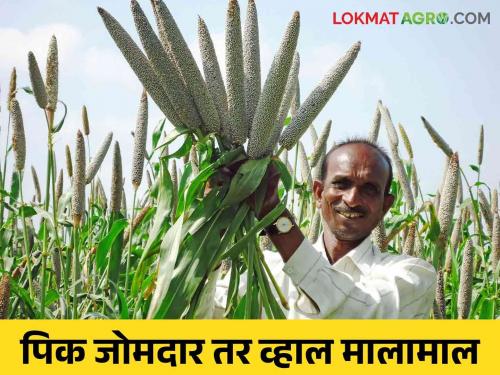 Increase crop production and win huge prizes.. Join this competition today | Crop Production Competition: पीक जोमात वाढवा अन् भरघोस बक्षिसं जिंका.. आजच व्हा स्पर्धेत सहभागी